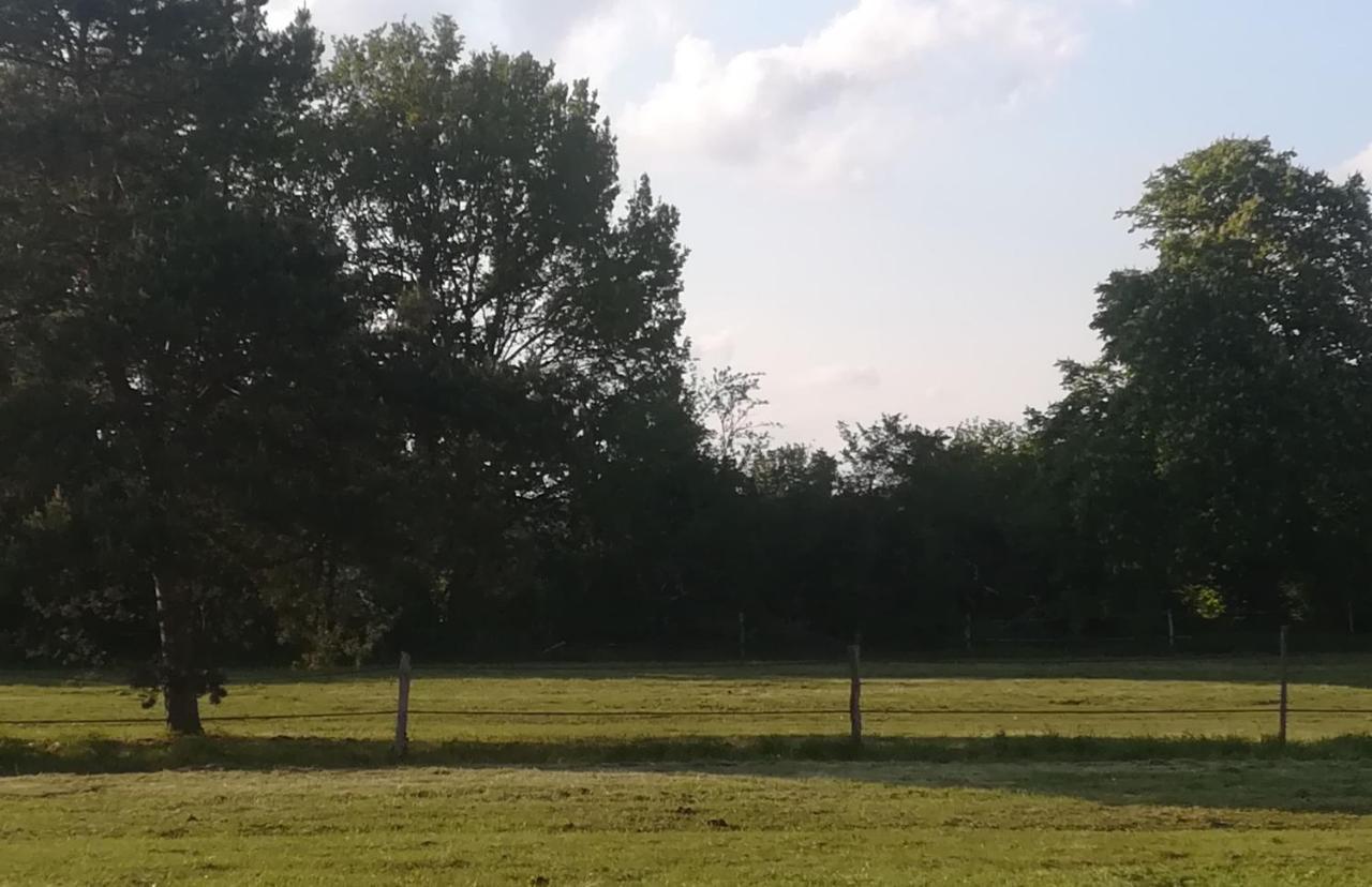 فيلا Les Pres Du Petit Morlu - Proche Beauval Saint-Romain-sur-Cher المظهر الخارجي الصورة