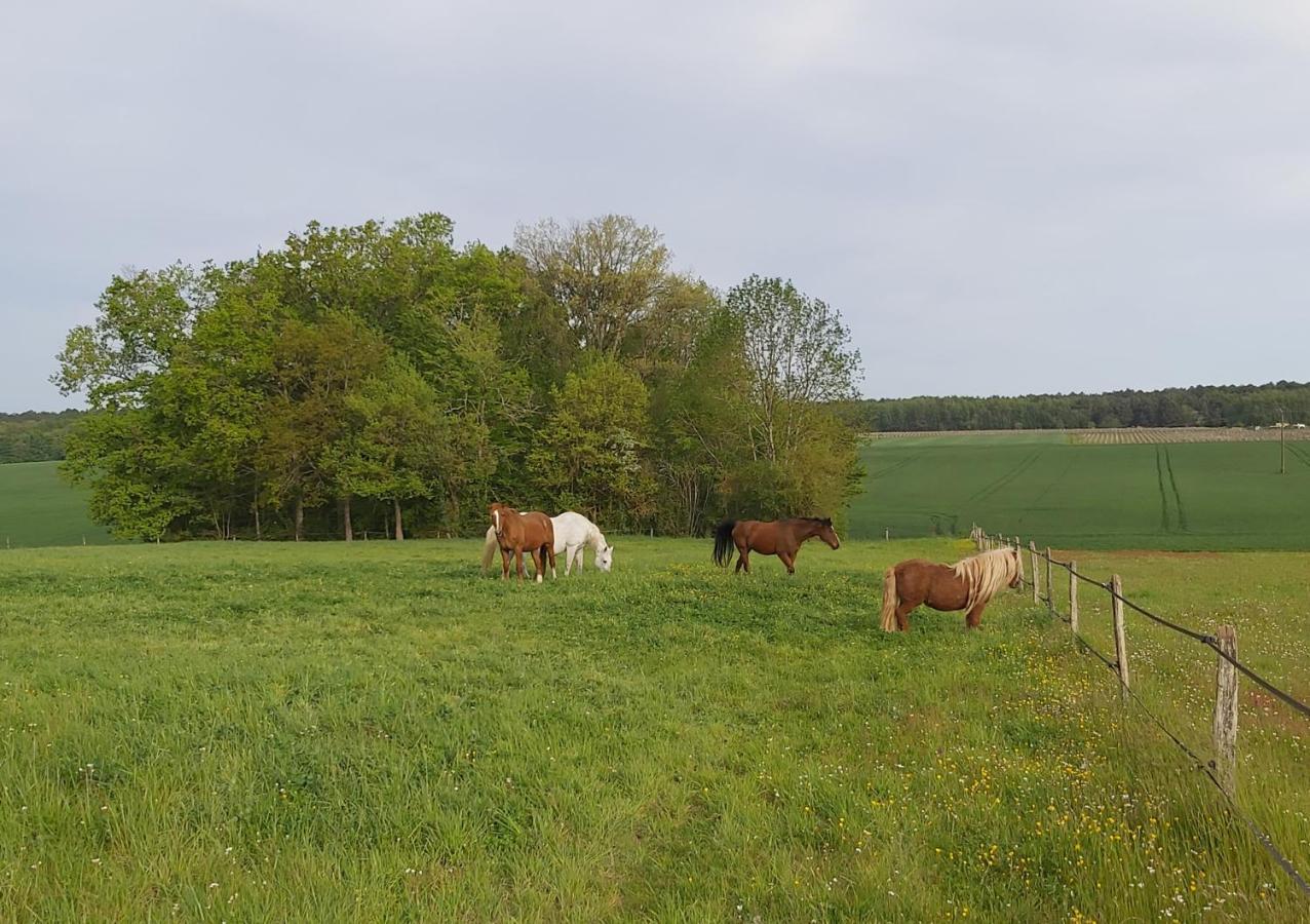 فيلا Les Pres Du Petit Morlu - Proche Beauval Saint-Romain-sur-Cher المظهر الخارجي الصورة