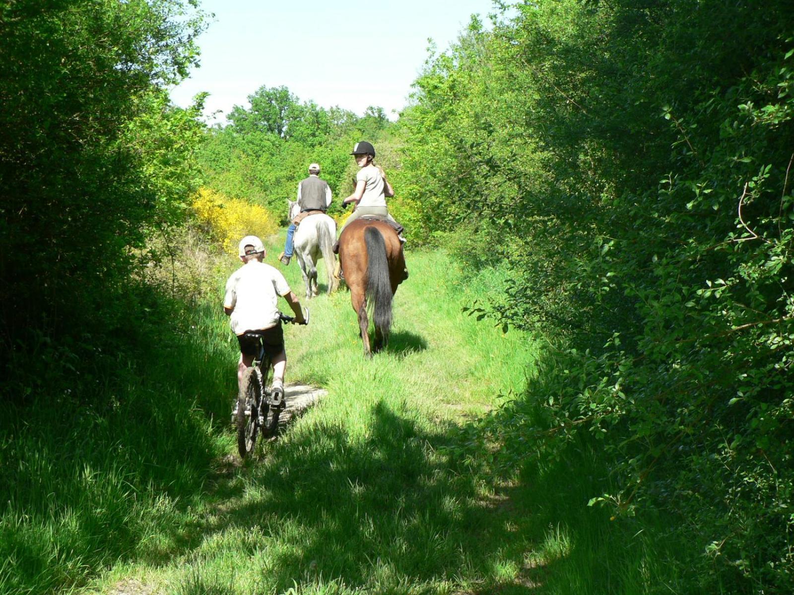 فيلا Les Pres Du Petit Morlu - Proche Beauval Saint-Romain-sur-Cher المظهر الخارجي الصورة